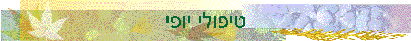 טיפולי יופי